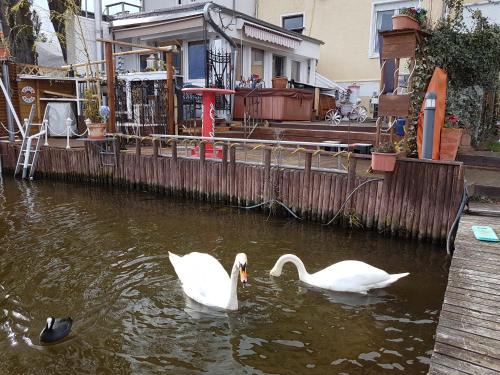 Zeuthen Apartamento | Wohnung im Haus am See von Berlin