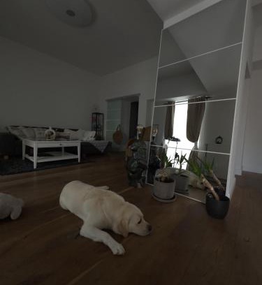 Weststadt Apartamento | Wohnung in Zentrum Bonn