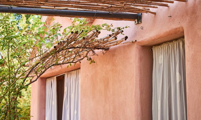 Barchi Apartamento | Maravilloso piso en el jardín - ecológicamente entre viñedo y olivar