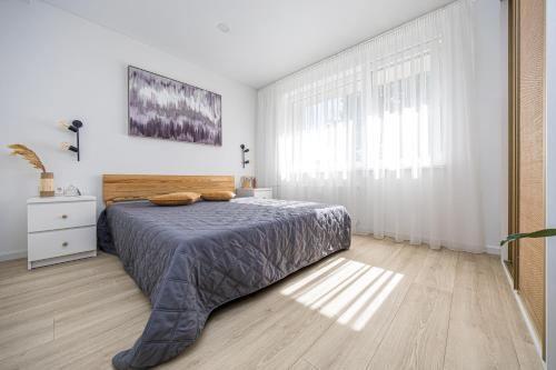 Palanga Apartamento | Wonderful place to stay - Palanga