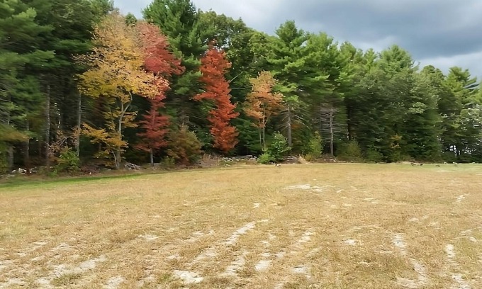 Foxboro Hotel | Wonderful Trip! 2 Relaxing Units w/ Free Breakfast & Free Parking!