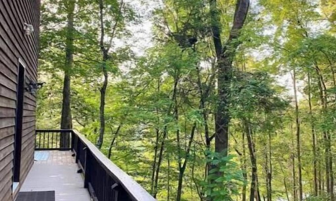 Rock Island Cabina | Wooded Cabin on Rocky River