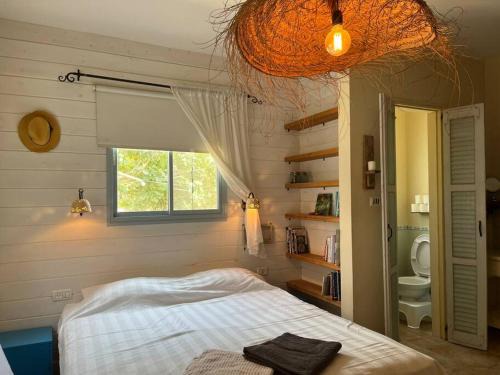Dan Casa | wooden witch hut by the river
