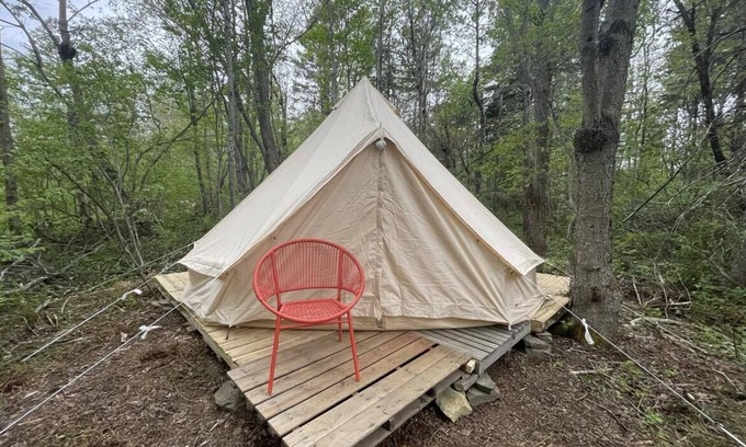 Keswick Ridge Alquiler De RV | Woodland Bell Tent, Glamping near Fredericton, NB!