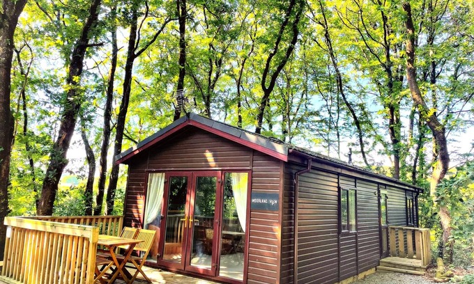 Llanybri Casa | Woodland View -Hot Tub-Tenby-Carmarthen-St despeja