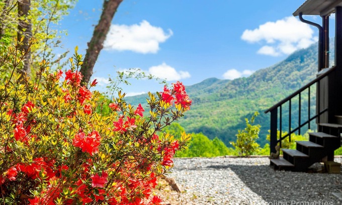 Piney Mountain Casa | Writer's Block - Big View, Fire Pit, Great Getaway