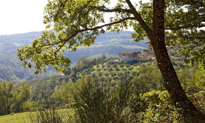 Gualdo Cattaneo Villa | VILLA DE PIEDRA EN LA CIMA DE UNA COLINA DE OLIVAS CON PISCINA