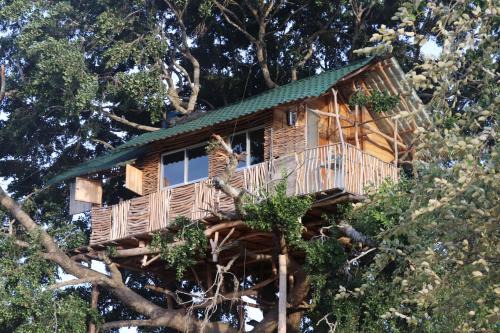 Palatupana Otro | Yala Dream Park
