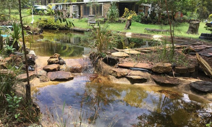 Gurranang Otro | Yamba Hinterland bush retreat - Vintage bus stay