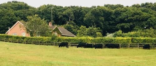 Yellowham Wood Casa | Yellowham Farm, Dorchester
