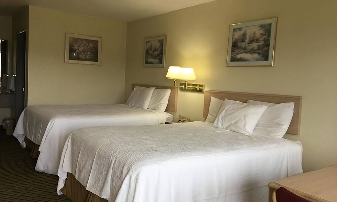 Cabot Casa | You Found It! 4 Comfortable Units, Free Breakfast & Parking, Pets Allowed, Pool