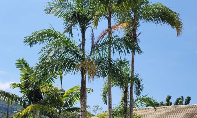 Sertao do Trombudo Casa | Your beach vacation home.