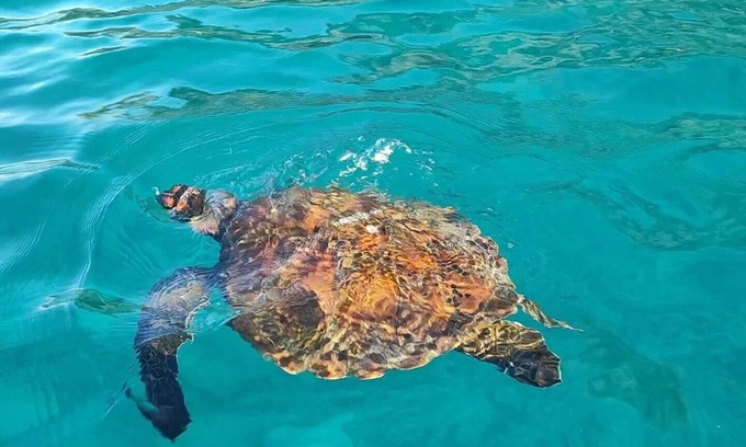 Bahia de la Academia Casa | “Tu oasis de confort en el corazón de Galápagos.”