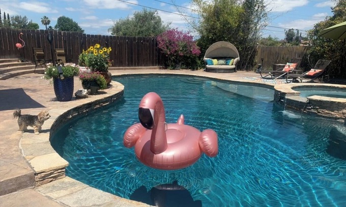 La Mesa Casa | Your own Suburban Oasis!