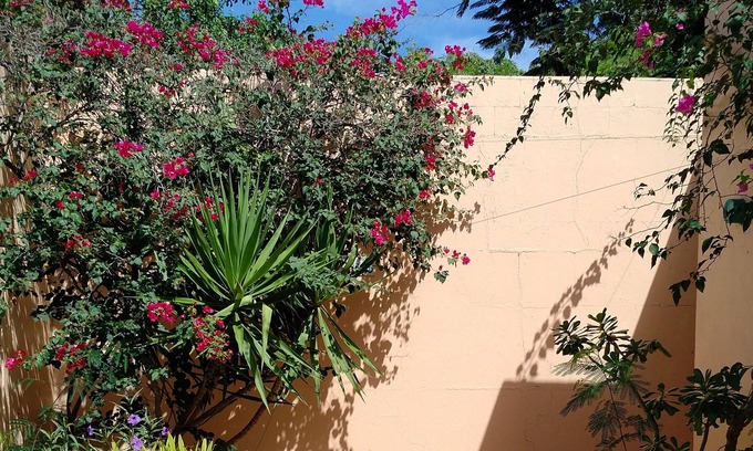 Red Hook Villa | Su Private Villa & piscina en el sol!