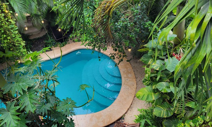 La Veleta Apartamento | Tu Oasis Secreto en Tulum. Una escapada a la selva en medio de la Veleta.