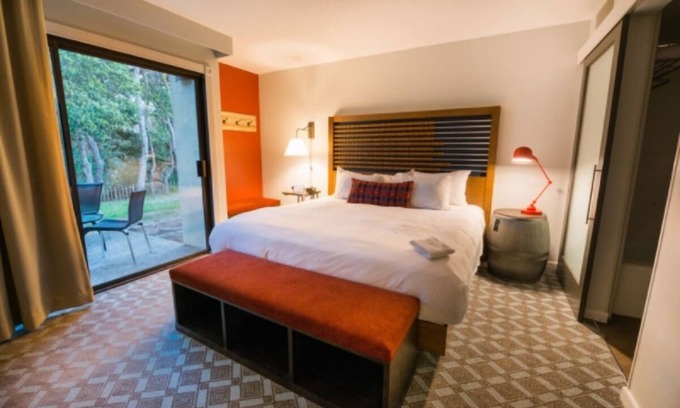 Live Oak Hotel | Your Ultimate Nature Retreat Starts Here | Forest View Room w/ Patio | Scenic