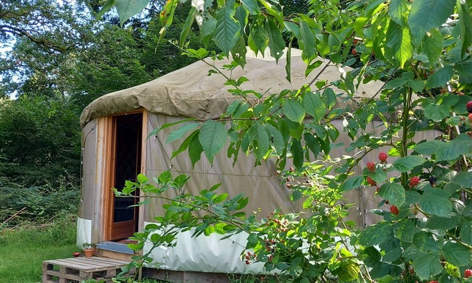 Saint-Laurent-les-Eglises Cabina | Yourte Contemporaine Dans Micro Ferme Bio
