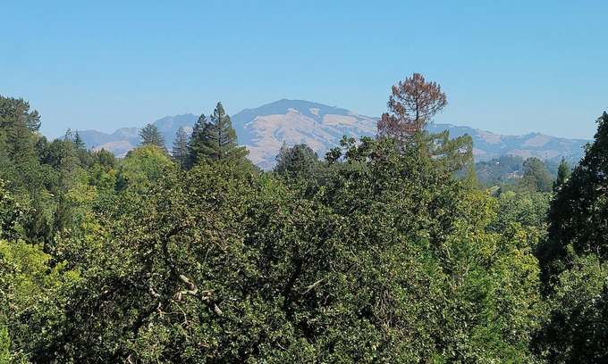 Stanley Casa | Zen Garden Getaway w/ Mountain View