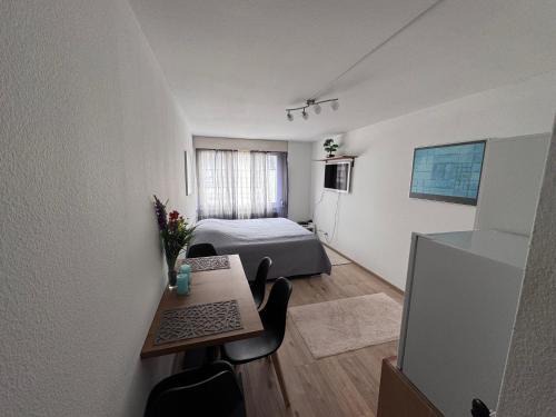 Sandrain Apartamento | Zentrale 1-Zimmer-Wohnung Marzili Bern