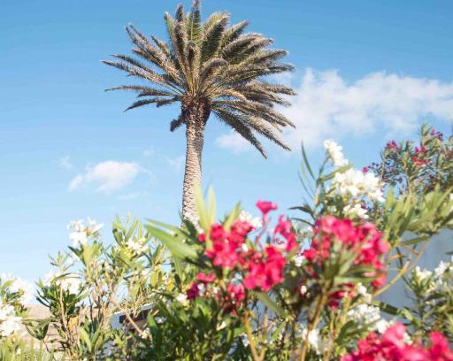 Puerto del Rosario Casa | Zenzero Blu