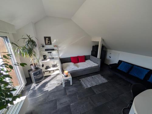 Koenigswinter Casa | Zimmer "Ölberg" im Siebengebirge