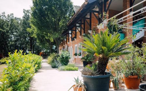 Baevac Casa | Zornića Kuća