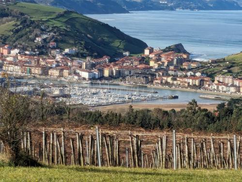 Zumaia Apartamento | Zumaia Basque Alai