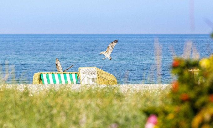 Ostseebad Wustrow Apartamento | Zwei Wasser - Seefahrtschule Ostseebad Wustrow - First Garden View