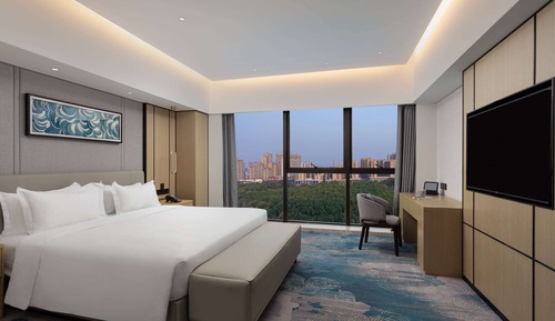 Suite Business, 1 cama de matrimonio grande, no fumadores