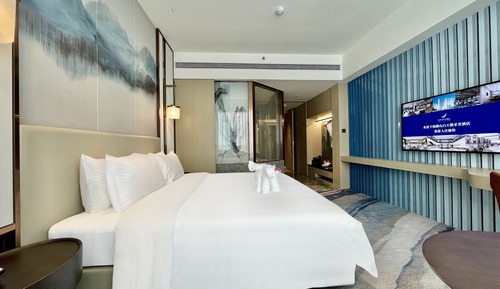 Habitación de diseño, 1 cama de matrimonio grande