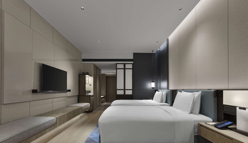 Habitación ejecutiva, 2 camas individuales