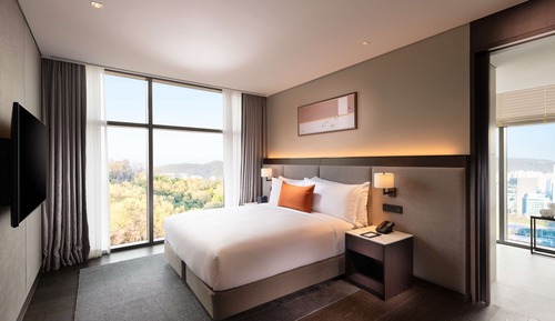 Suite Premium, varias camas (1 King, 2 Single Beds)