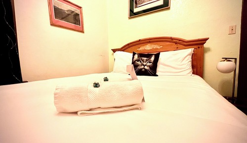 Habitación clásica