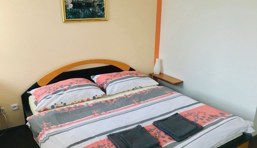 Habitación estándar doble (3)