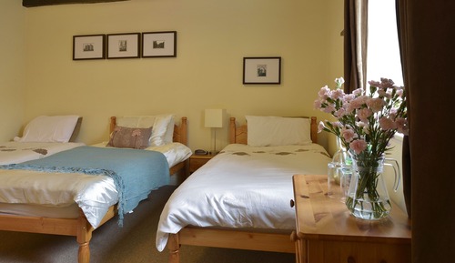 Habitación Deluxe con 2 camas individuales, accesible para personas con discapacidad (deluxe twin)