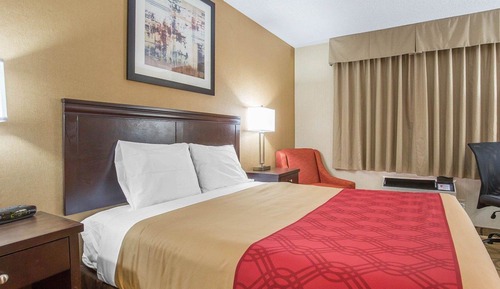 Habitación estándar, 1 cama de matrimonio, no fumadores