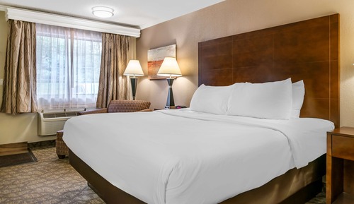 Habitación estándar, 1 cama de matrimonio grande, no fumadores, frigorífico