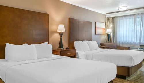 Habitación estándar, 2 camas de matrimonio, no fumadores (Walk-in Shower)