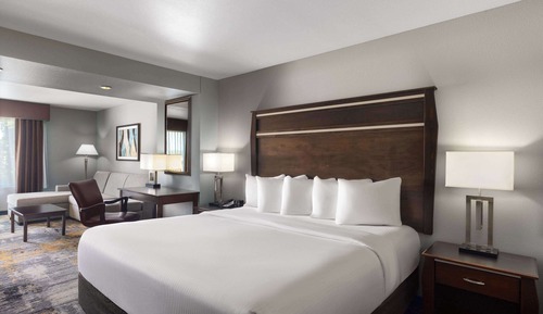 Suite Deluxe, 1 cama de matrimonio grande, no fumadores, vistas a la ciudad