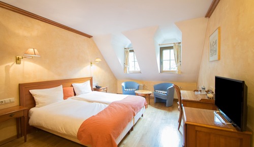 Habitación Confort con 1 cama doble o 2 individuales, vistas al río