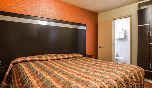 Habitación estándar, 1 cama de matrimonio grande, no fumadores