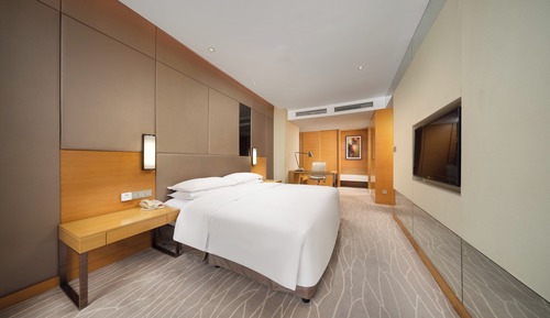 Habitación estándar, acceso al Business Lounge, vistas al lago