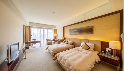 Habitación Deluxe con 2 camas individuales