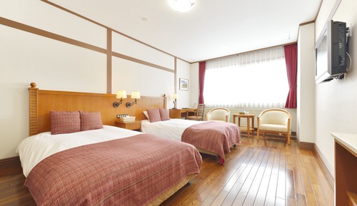 Habitación Deluxe con 2 camas individuales