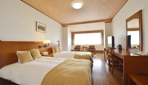 Habitación con 2 camas individuales (Large)