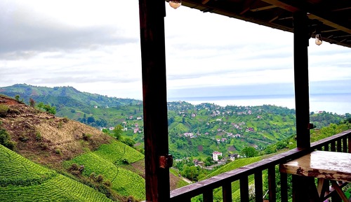 Casa económica en un árbol, vistas a la colina