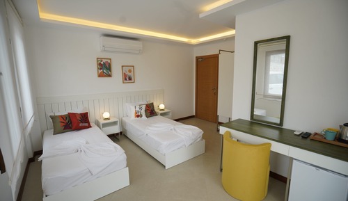 Habitación con 2 camas individuales, no fumadores, vistas a la montaña