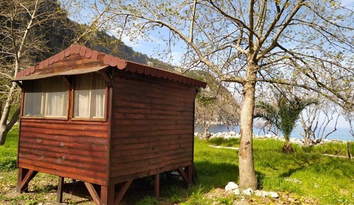 Casa en un árbol estándar
