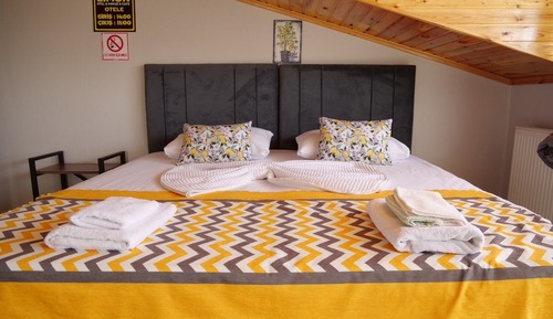 Habitación estándar, varias camas, no fumadores, vistas a la piscina